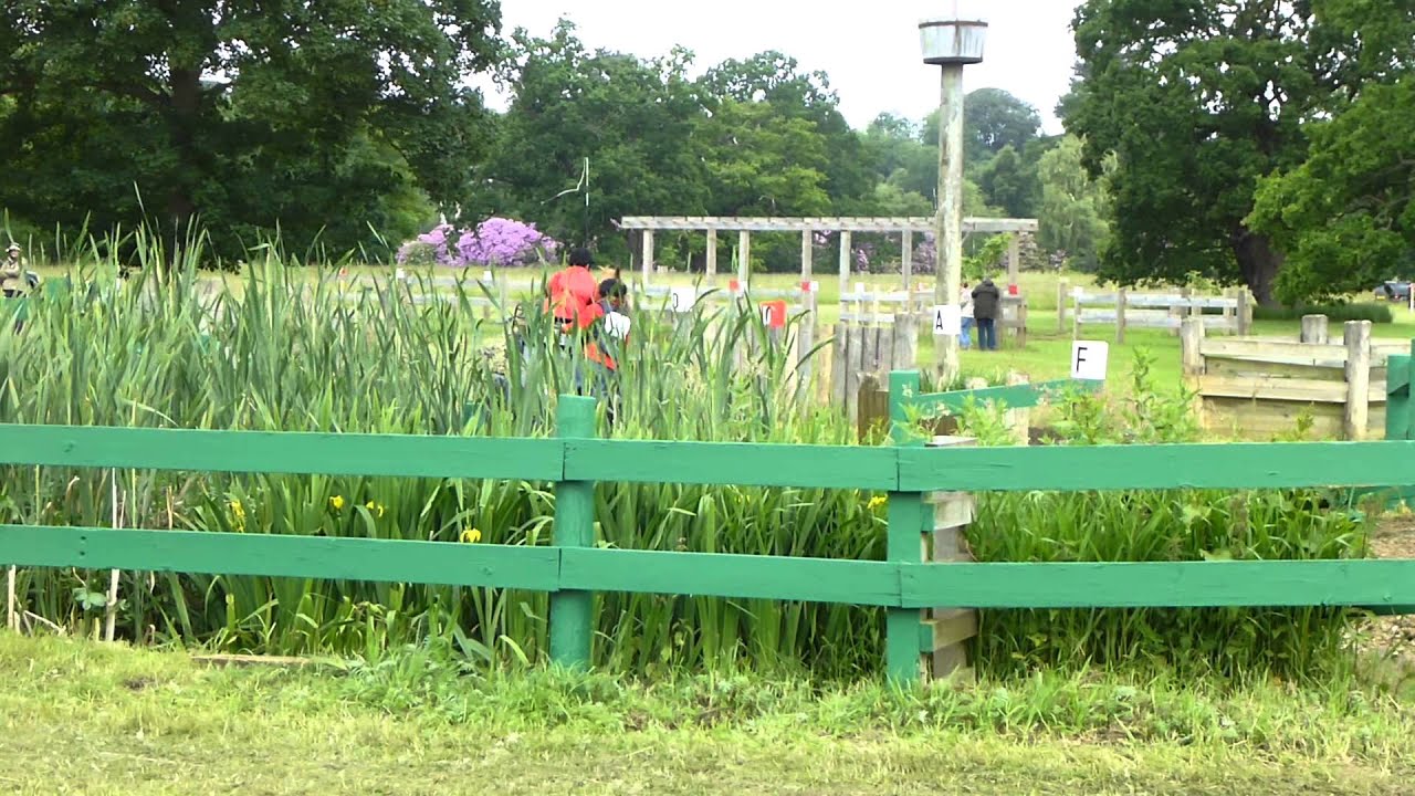 08 Chris Ainscough GBR), FEI Adv  Pony, Sandringham Horse Driving Trials 2013, Marathon O1