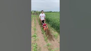 Multifunctional weeding and ditching machine at an affordable price