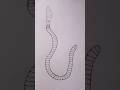 Figure 5 -Earthworm -Zoology Record #drawing #art #zoologyrecord #voidartsss