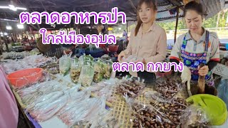 #สุดยอด ตลาด#ของป่า ใกล้เมืองอุบล ตลาดกกยาง ทางไป อ.ม่วงส่มสิบ #กีนูน #ไข่มดแดง #ผักหวานป่า#อุบลฯ