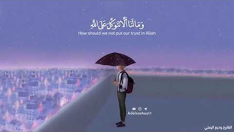 ومالنا ألآ نتوكل على الله//أجمل حالات واتس اب قران😴بصوت وديع اليمني❣حالات واتس  اب دينية❣تلاوة خاشعة
