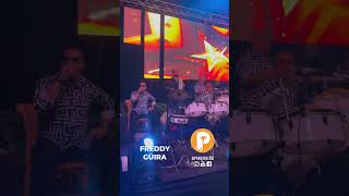 Freddy Güira - Banda Real #pambiche #envivo #merengue #musica #latinmusic