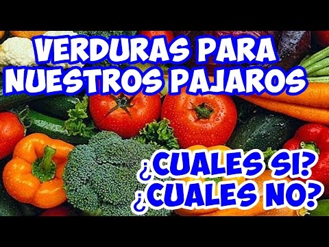 Video: Tomates Con Aves Y Verduras
