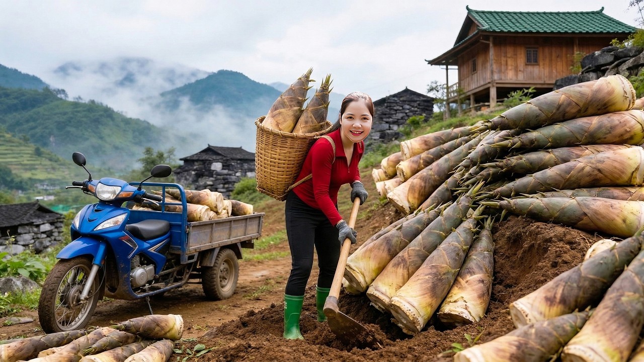 TIME LAPSE - Harvesting 200+ Giant Bamboo Shoots To Market | Making Spicy Pickled Bamboo
