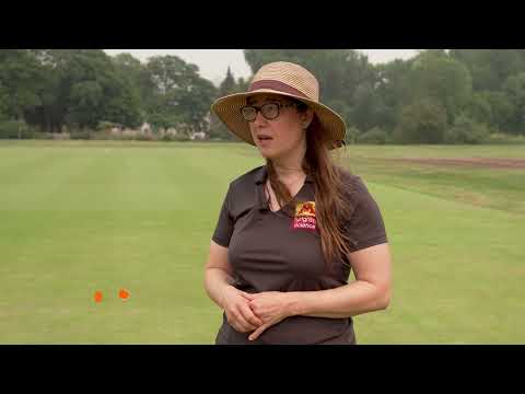 Fescue Research at the University of Minnesota