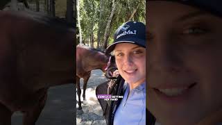Warm up day for Sawyer’s first jumper show! #ponies #pony #poniesoftiktok #hunterjumper #haflinger