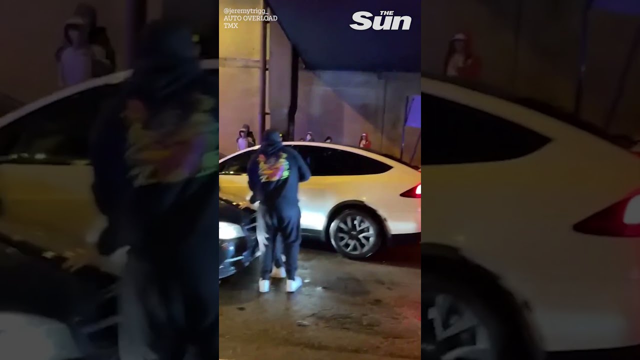 Angry Flash Mob Attacks Tesla In Chicago Shorts