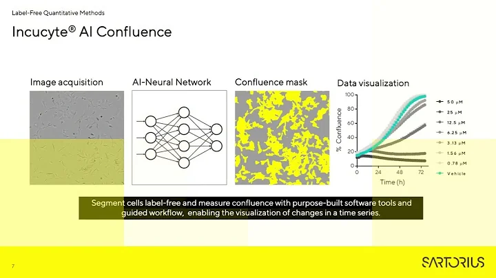 Label Free Quantification of Cell Growth and Morphology Using AI and Advanced Data Analytics