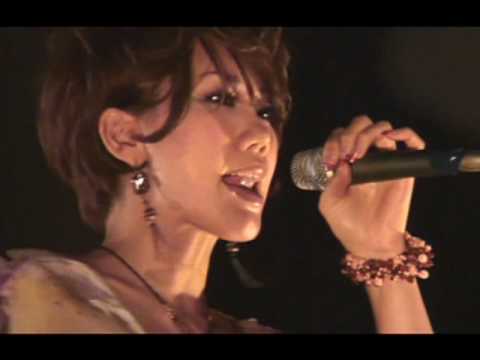絹の道MisaChi