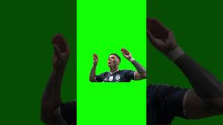 Enzo Fernandez green screen