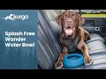 The Splash-Free Wander Water Bowl | No-spill travel bowl for dogs