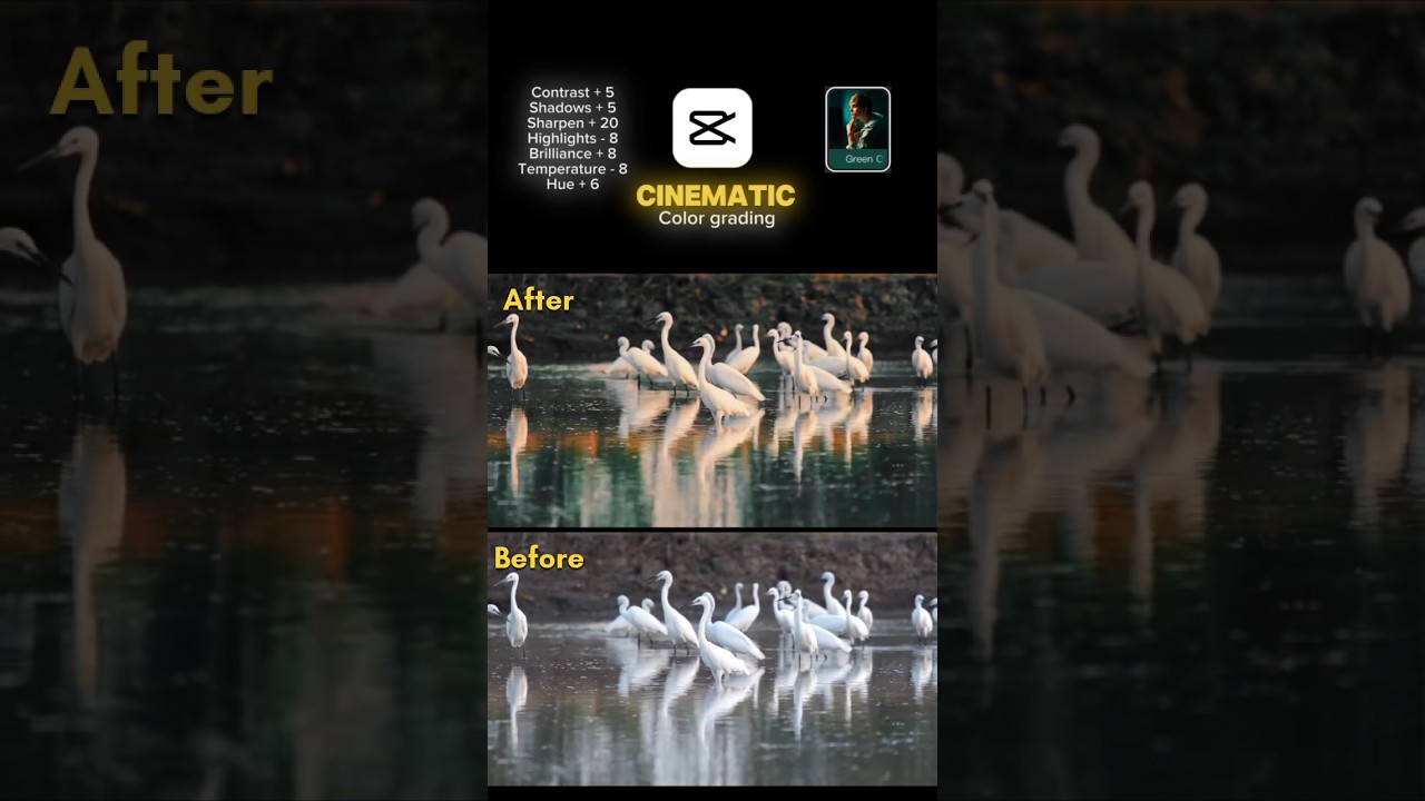 Cinematic Bird Color Grading in CapCut | Smooth & Sharp Look Tutorial 🕊️✨