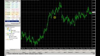 Бесплатные Советники Metatrader