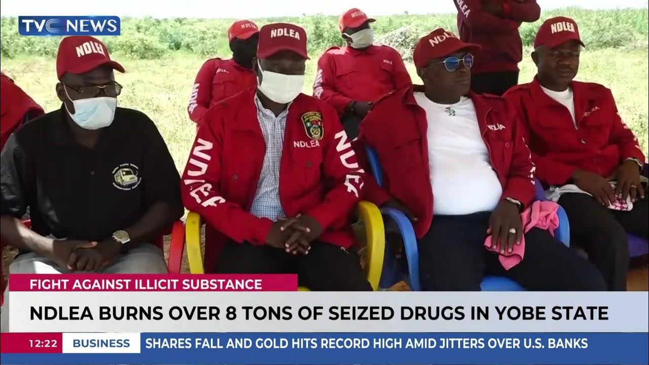 NDLEA Burns Over 8 Tons Of Seized Drugs In Yobe State