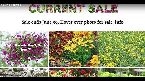 How to Add a Video to Your LinkedIn Profile