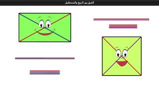 الفرق بين المربع والمستطيل