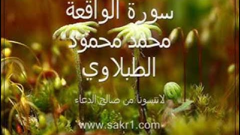 سورة الواقعة   الشيخ محمد محمود الطبلاوي low