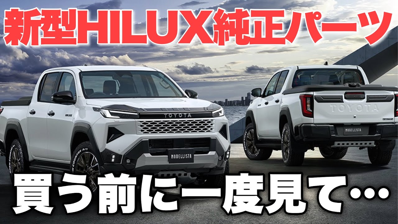 手渡希望StealthCustomSeriesRAY10ハイラックスプラド Must-read before signing contract] What current Hilux owners want
