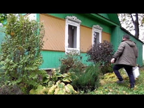 Видео: Отшельничаю в безлюдной белорусской деревне
