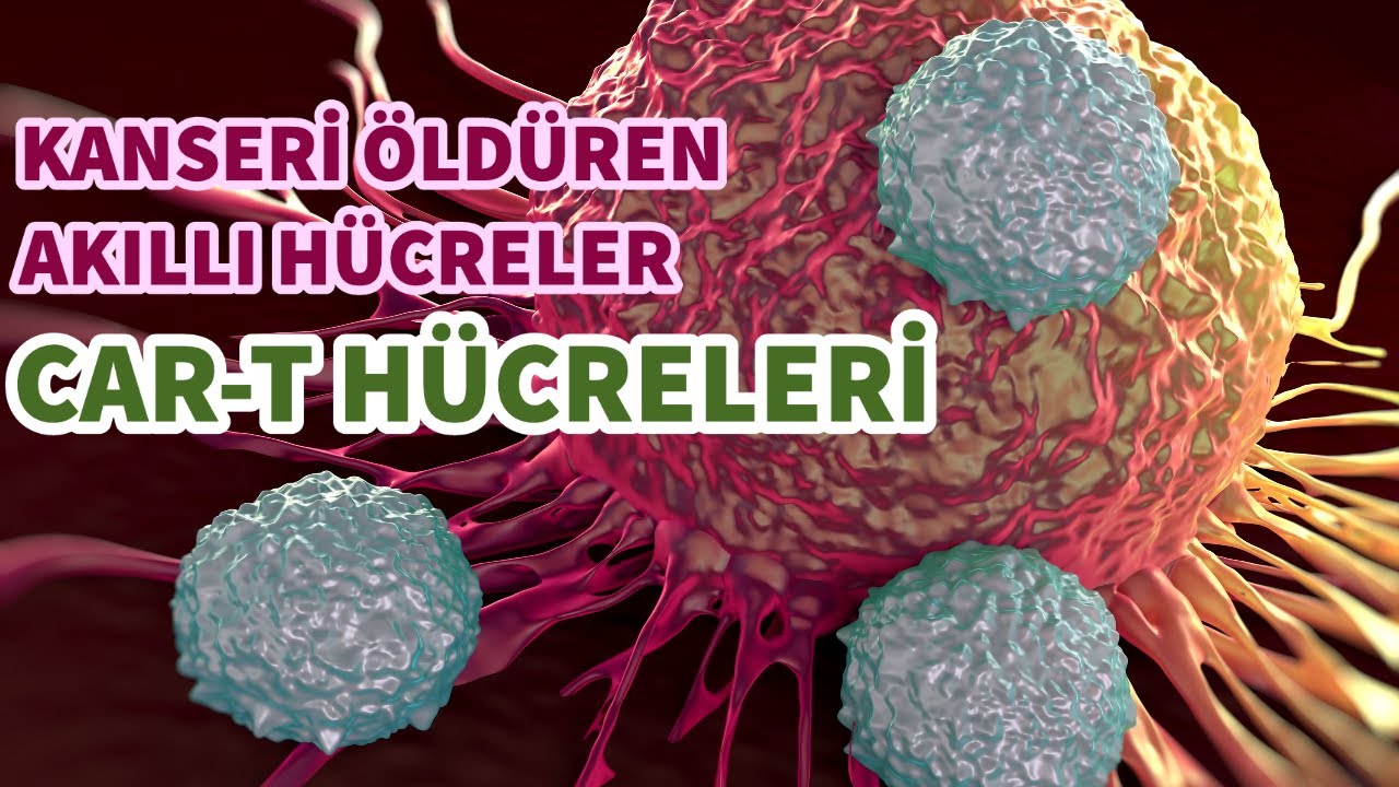 En Pahalı Kanser Tedavisi: CAR-T HÜCRELER (ve hikayesi)