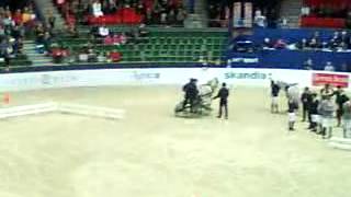 GBG HorseShow_153