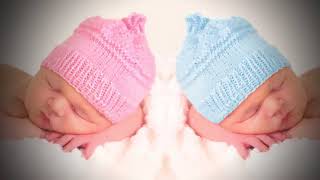 What are PGS and PGD? - Fertility Institute of Hawaii