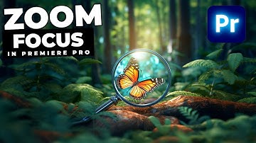 How To Zoom In On Part of A Clip In Premiere Pro
