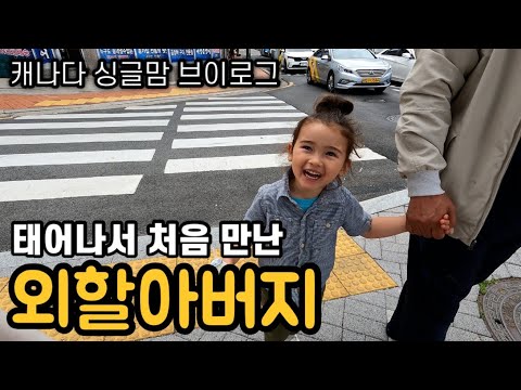 한달간의 한국방문기 2탄