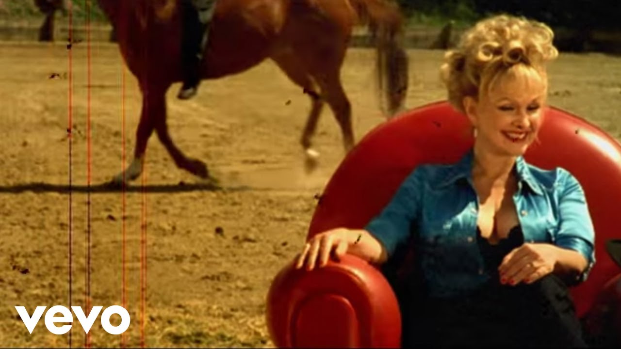 Johnny Hallyday - L'Instinct