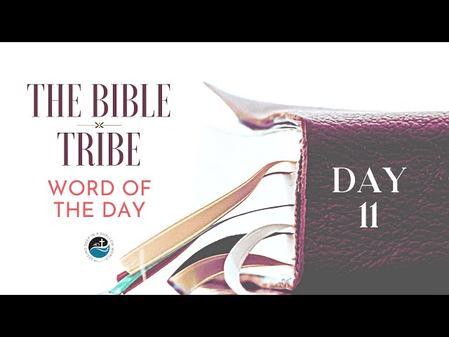 Day 11- Psalms 3–4 Bible Tribe Daily Bible Reading Plan