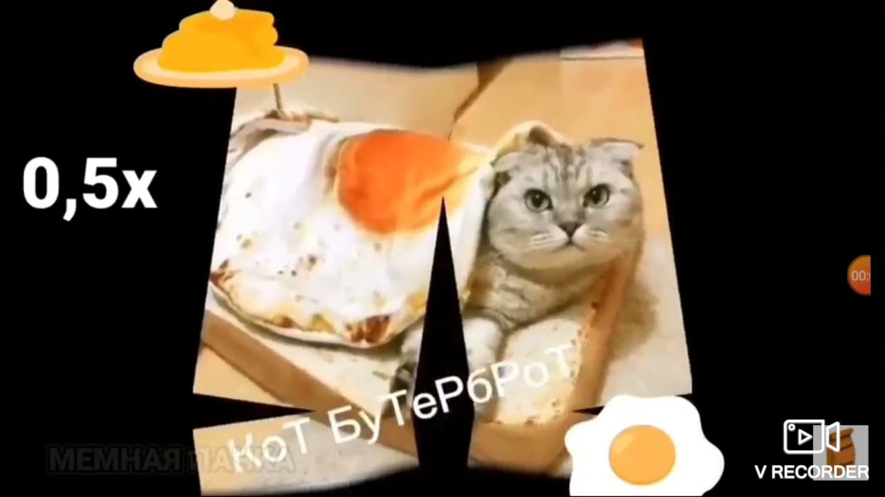 Мышка сосиска кот бутерброд авокадо бегемот. Мышка сосиска кот бутерброд авокадо бегемот