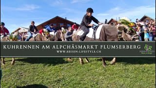 Kuhrennen am Alpchäsmarkt Flumserberg - reisen-lifestyle.ch