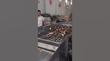 stainless steel linear vibrating sieve for sieving particle