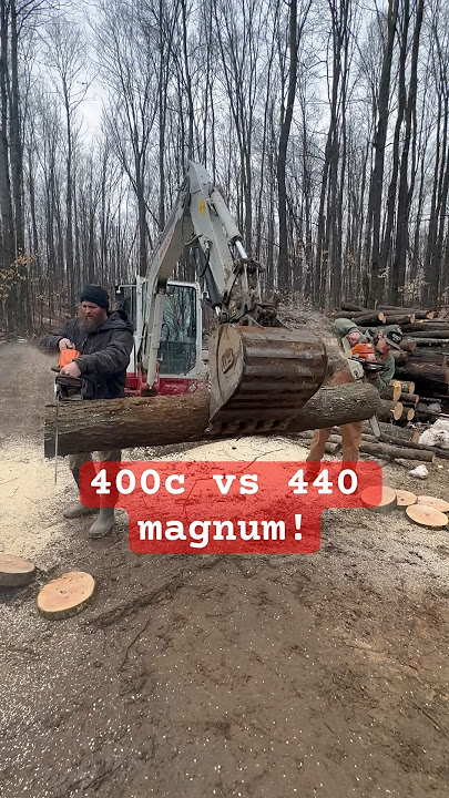 28 year old #stihl 440 vs new #stihl 400c #chainsaw #chainsawman #cuttingwood