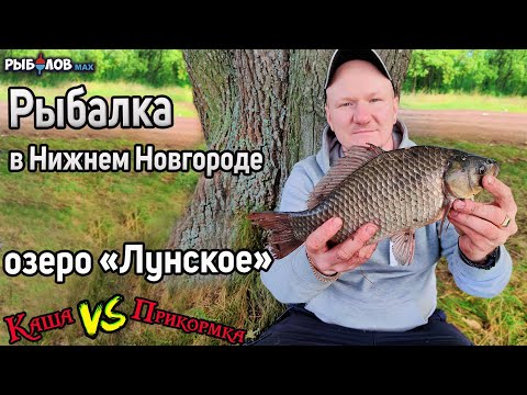 Озеро Лунское. Рыбалка в Нижнем Новгороде. Ловля карася осенью 2022