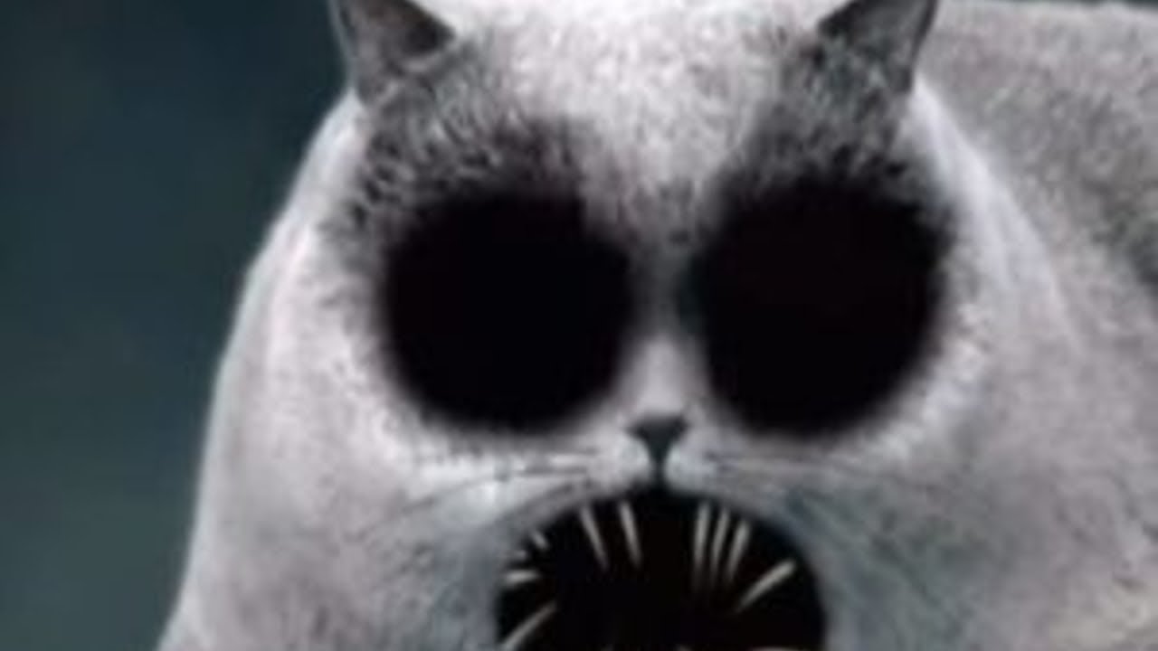 Creepypastas para tener de fondo mientras Diddy golpea la puerta con su chilito