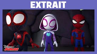 Spidey et ses amis extraordinaires - Extrait : Le trésor de Barbe-Toile