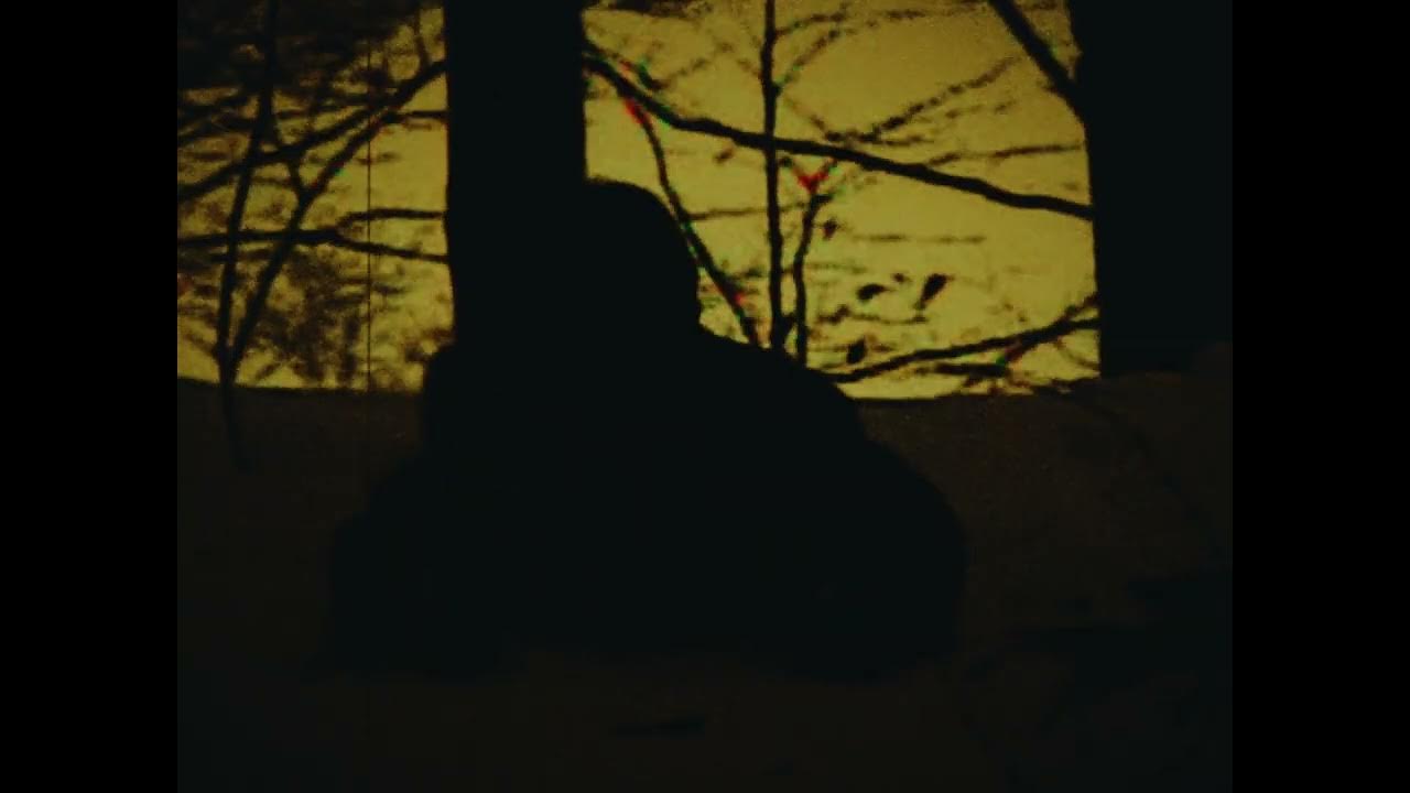 Time Capsule of Hope Samsung Digital Camcorder Colored with Davinci