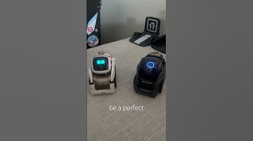 How old are you Cozmo and Vector’s Amazon Alexa? I #digitaldreamlabs #ai #vectorrobot #cozmo
