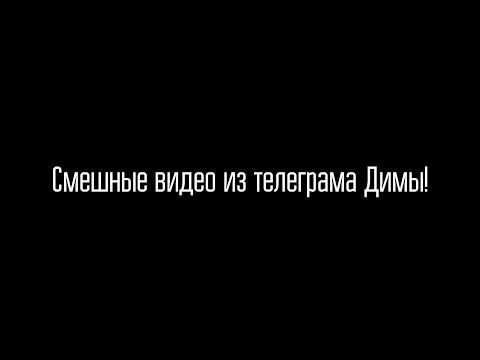 Видео: Смешные ВИДЕО из телеграма Масленникова!!! / *нереально смешно*