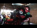 2 LTD Lion Dance at Diamond Valley Arts Council