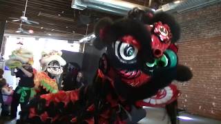 2 LTD Lion Dance at Diamond Valley Arts Council