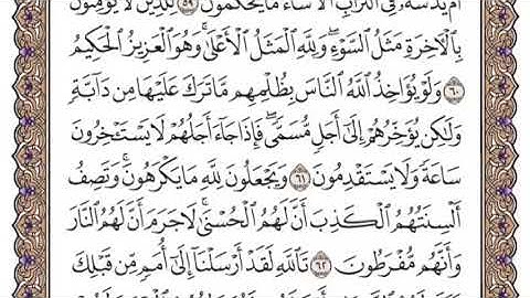 سورة النحل الشيخ ياسر الدوسري صفحة ٢٧٣