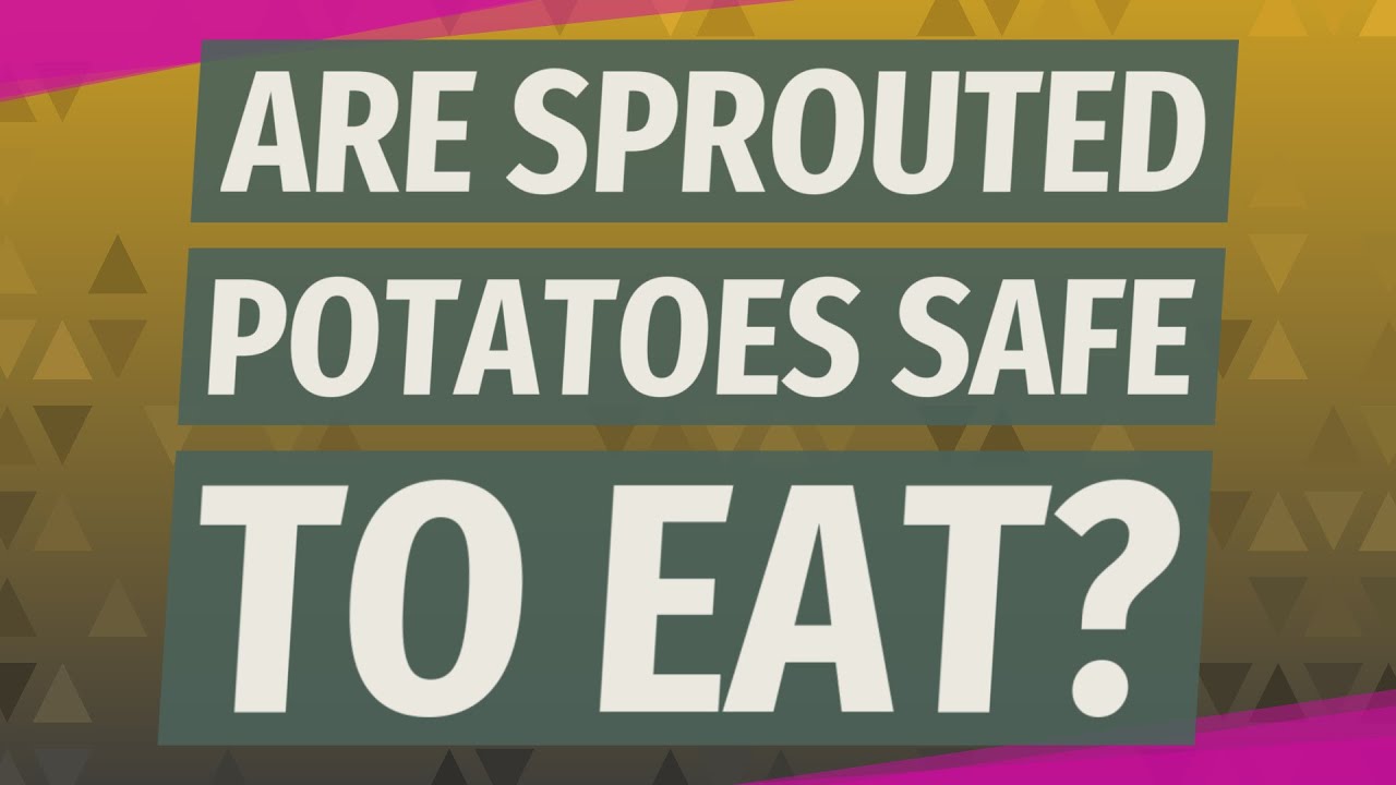 Are Sprouted Potatoes Safe To Eat Youtube