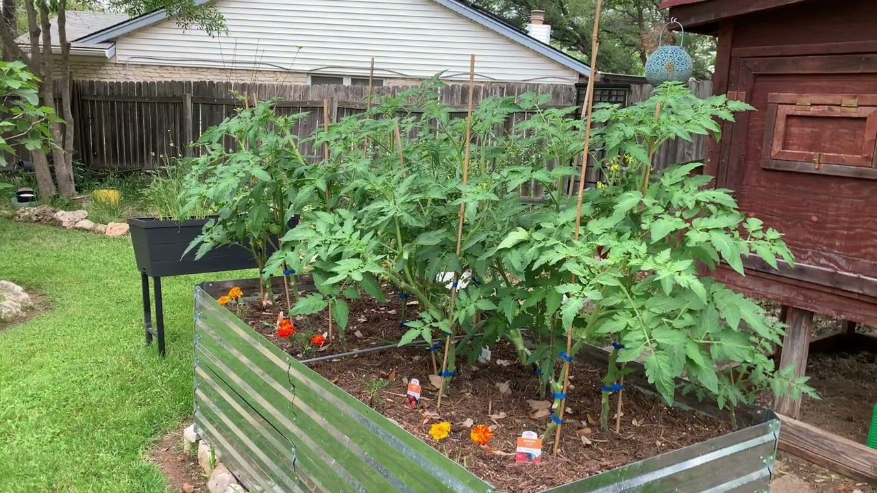 April of 2024 - Progress on Spring Garden