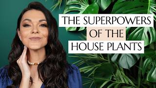 Houseplants Are Healing You Without You Knowing