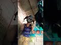 ka bommmm