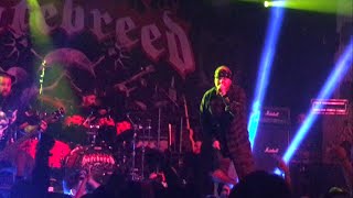 Hatebreed - "A.D."/"Looking Down The Barrel Of Today" (Live) Chicago, IL 5/14/2016