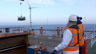 The Rich North Sea | Lessons Learned - Teaser/Trailer
