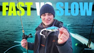 PIKE FISHING: Slow vs Fast Retrieve CHALLENGE (What will catch more/bigger fish?!)